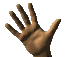 wave.gif (14711 bytes)